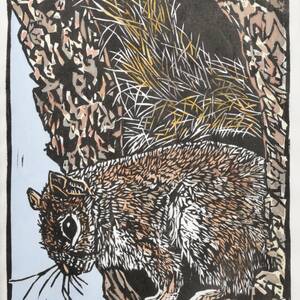 Squirrel.jpg